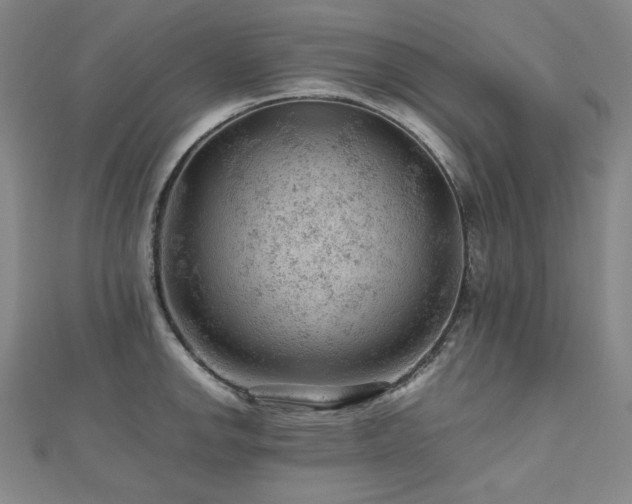 X0000112811142200908211138