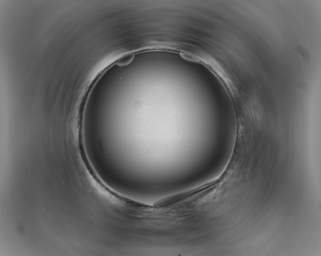 X0000112811143200908211138