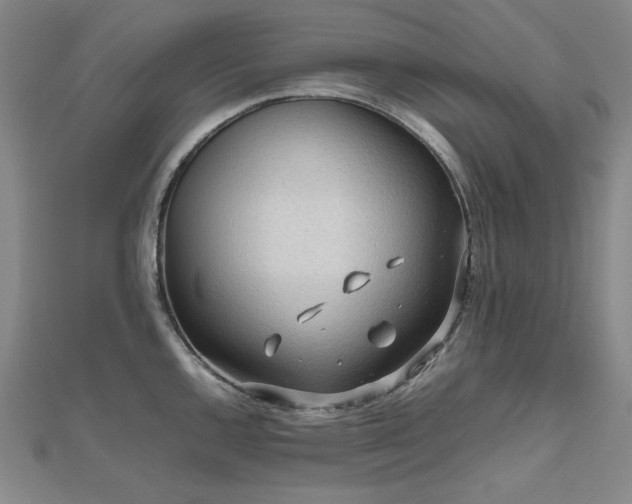 X0000112811144200908211138