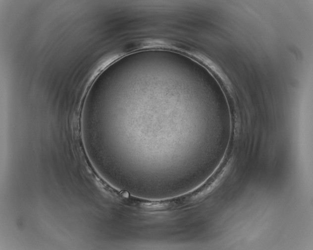 X0000112811145200908211138