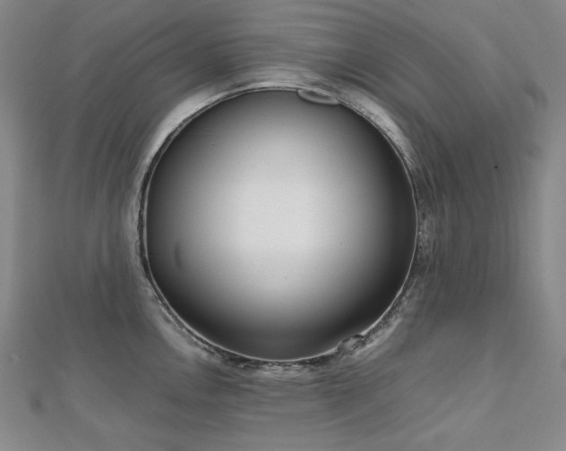 X0000112811146200908211138