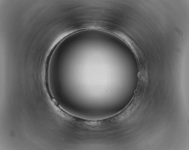 X0000112811147200908211138