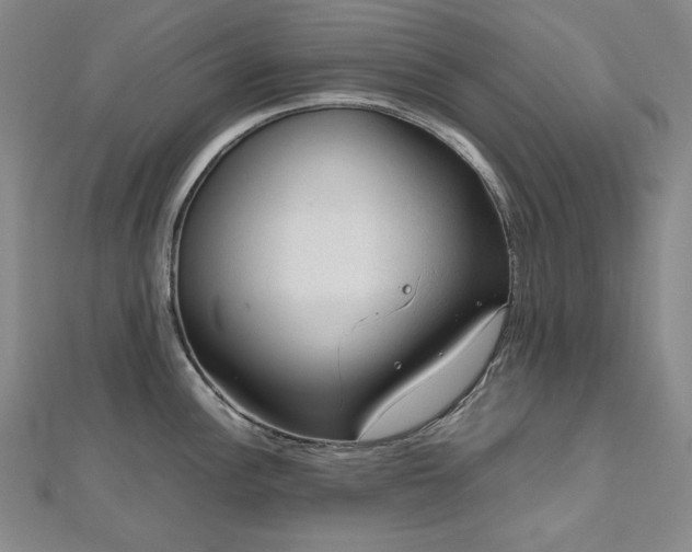 X0000112811148200908211138