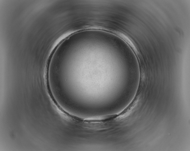 X0000112811149200908211138