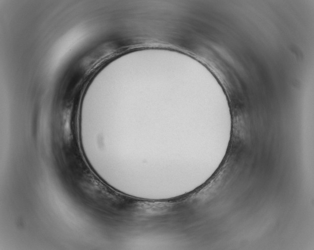 X0000112811150200908211138
