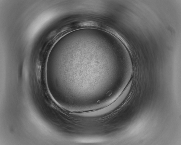 X0000112811151200908211138