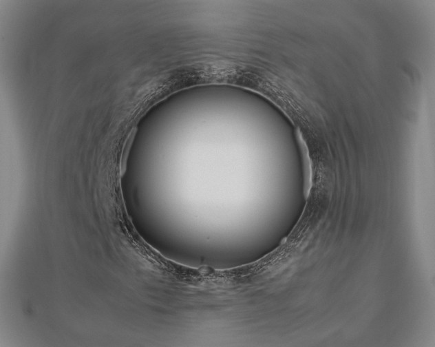 X0000112811153200908211138