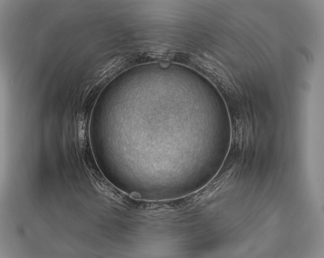 X0000112811154200908211138