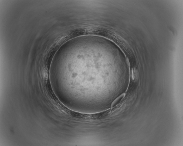 X0000112811155200908211138