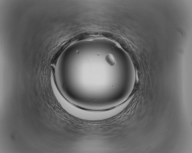 X0000112811157200908211138