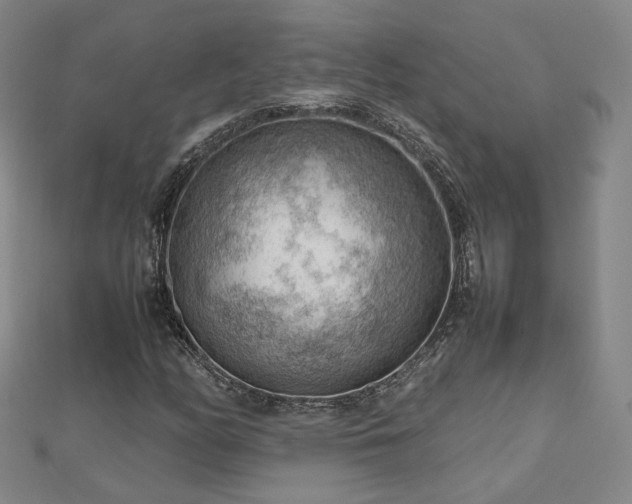 X0000112811158200908211138