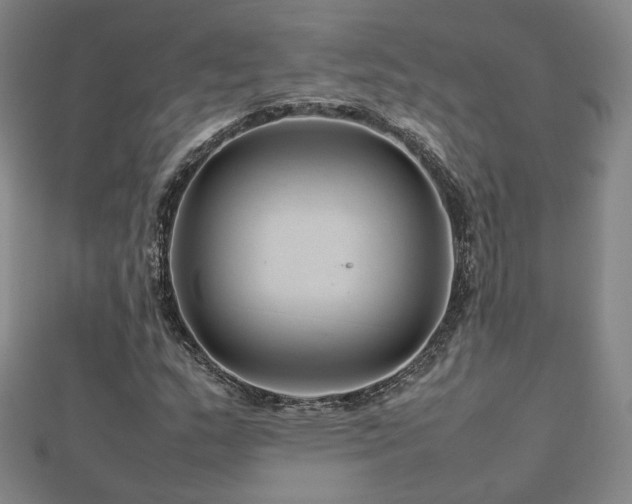 X0000112811159200908211137