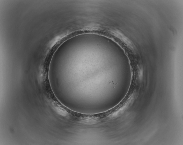 X0000112811160200908211137