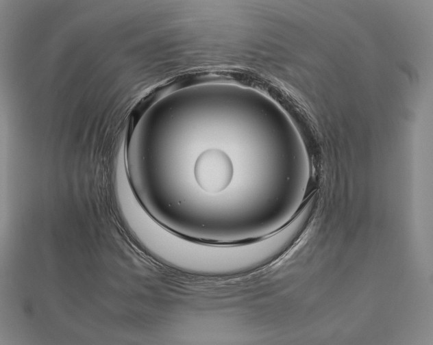 X0000112811161200908211137