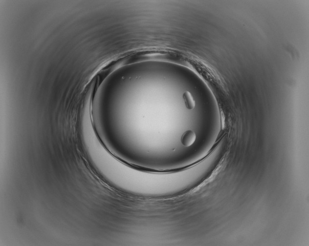 X0000112811162200908211137