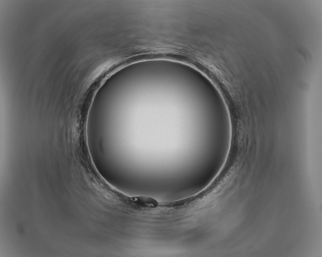 X0000112811163200908211137