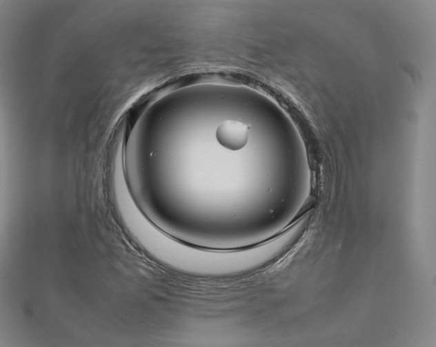 X0000112811165200908211137