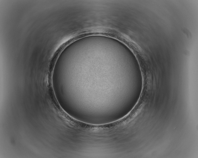X0000112811166200908211137