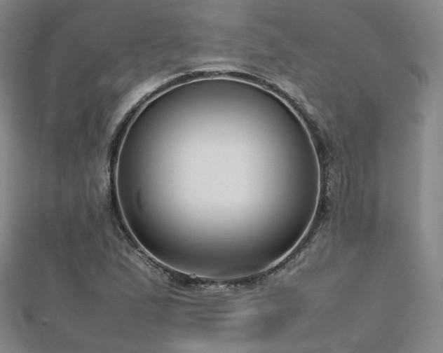X0000112811167200908211137