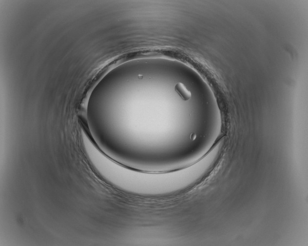 X0000112811169200908211137