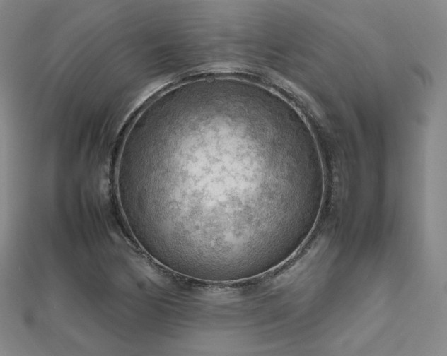 X0000112811170200908211137