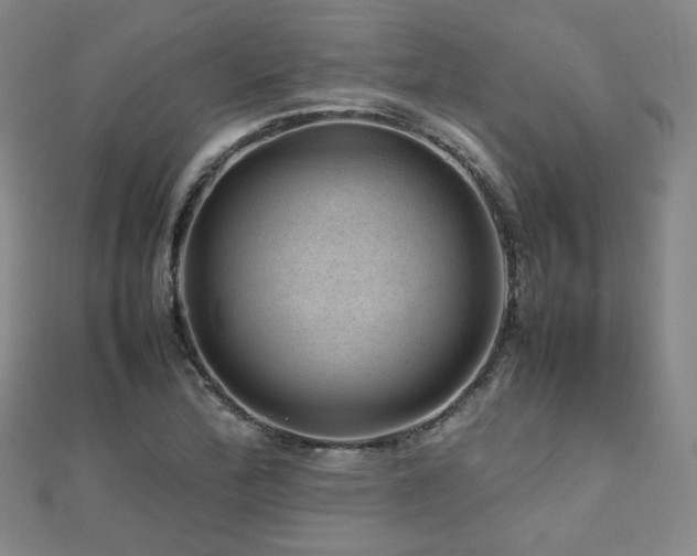 X0000112811172200908211137