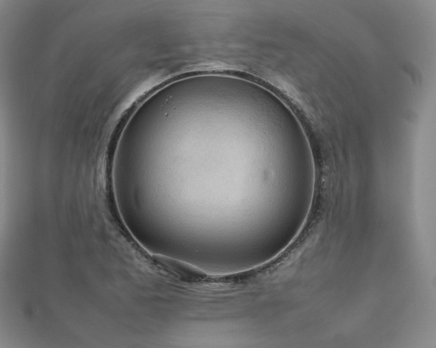 X0000112811173200908211137