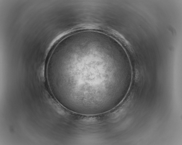 X0000112811174200908211137