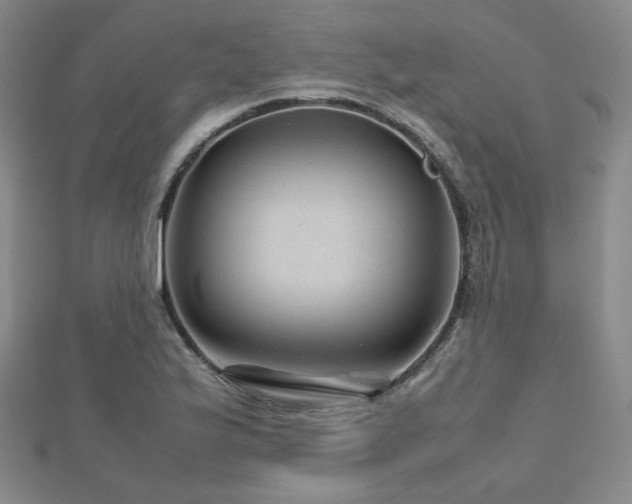 X0000112811175200908211137