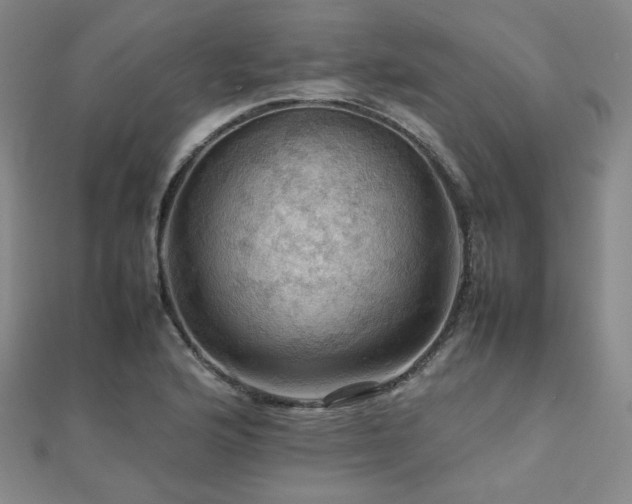 X0000112811176200908211137