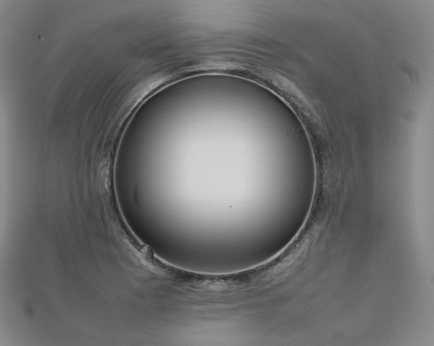 X0000112811177200908211137