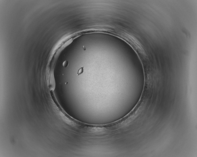 X0000112811180200908211137