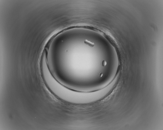 X0000112811181200908211137