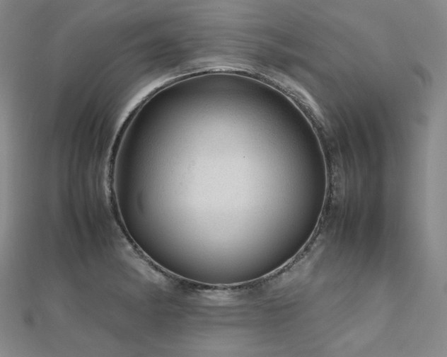 X0000112811182200908211137