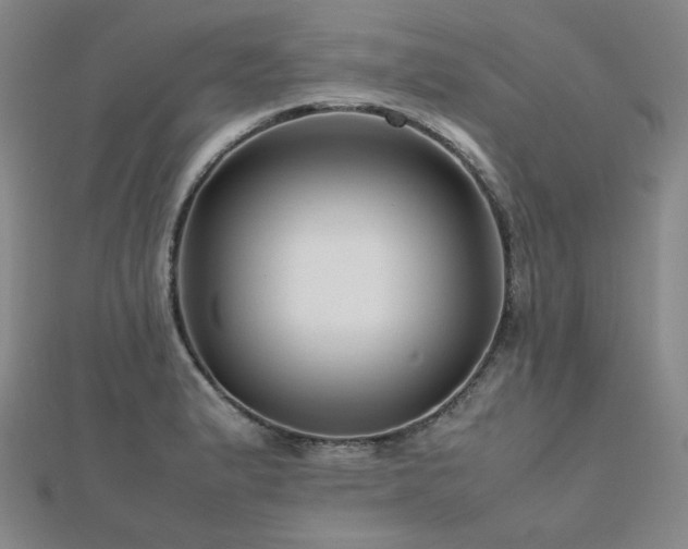 X0000112811183200908211137