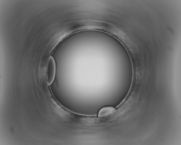 X0000112811185200908211137