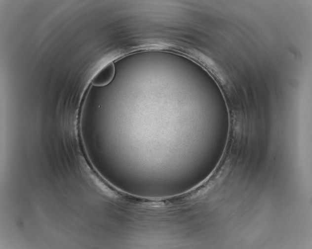 X0000112811186200908211137