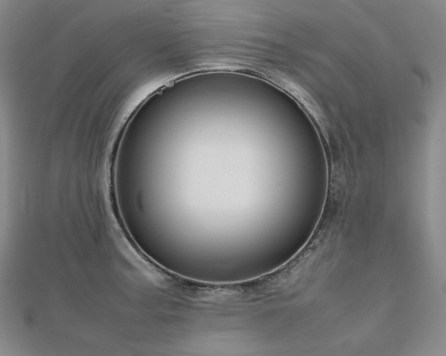X0000112811187200908211137