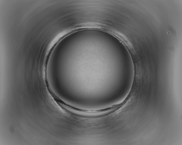 X0000112811188200908211137