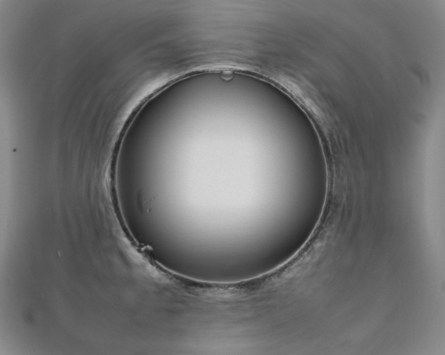 X0000112811189200908211137