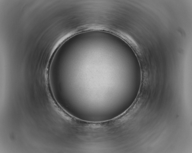 X0000112811190200908211137