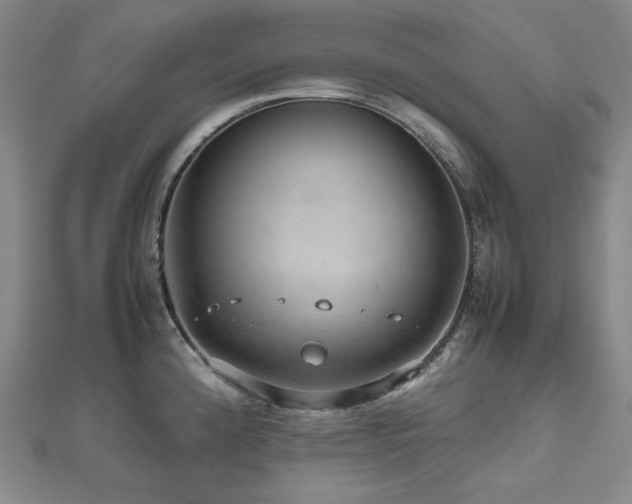 X0000112811192200908211137