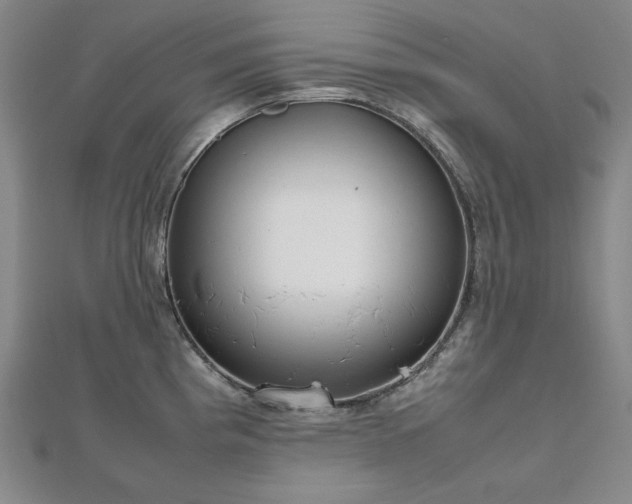 X0000112811193200908211137
