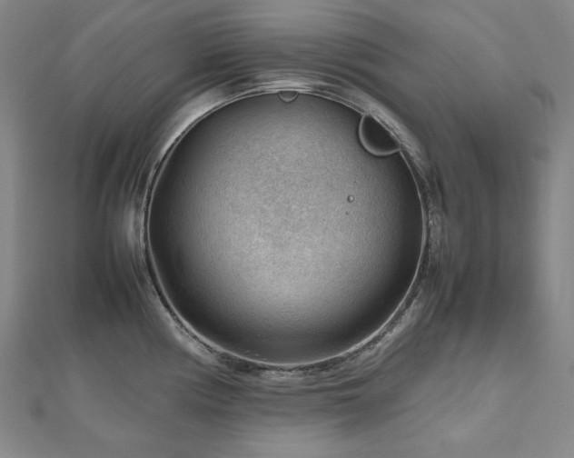 X0000112811194200908211137