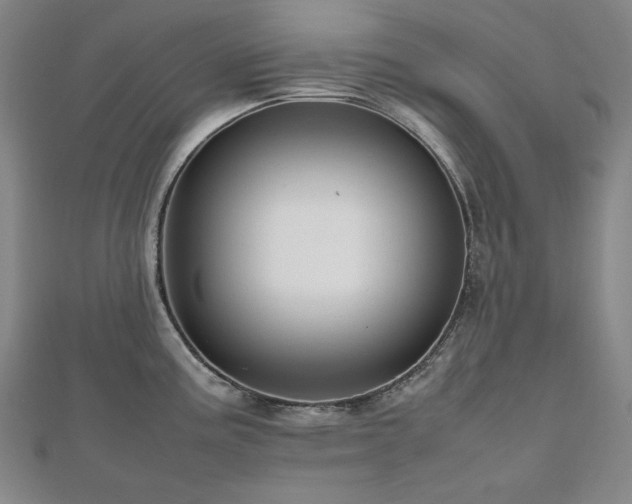 X0000112811195200908211137