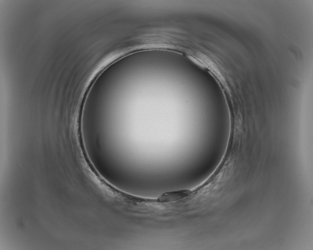 X0000112811197200908211137