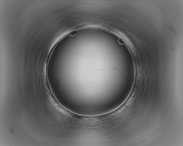 X0000112811198200908211137