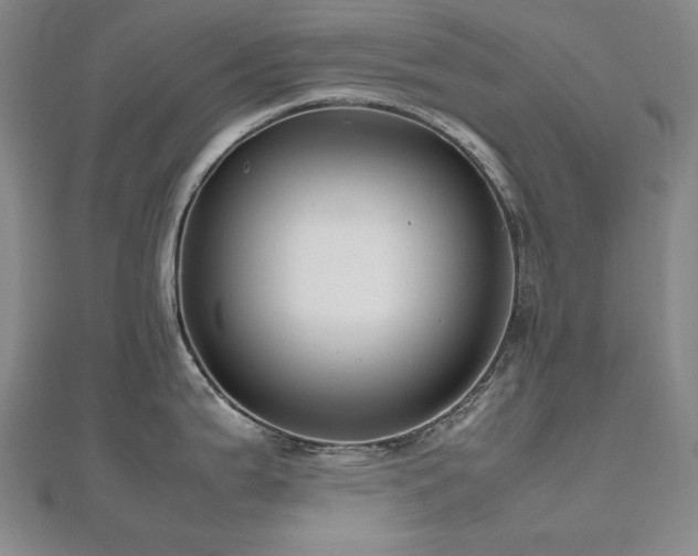 X0000112811199200908211137