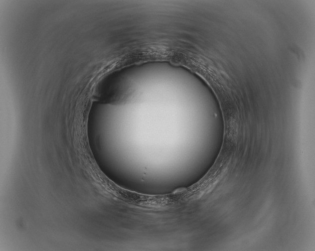 X0000112811201200908211136