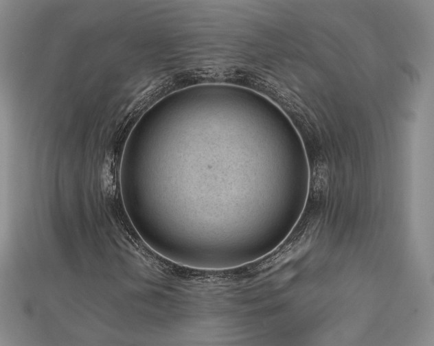 X0000112811202200908211136